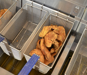 deep fryer