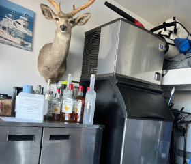 ice machine